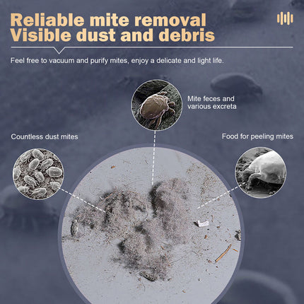 Mite Remover Vacuum Cleaner ~ Gold
