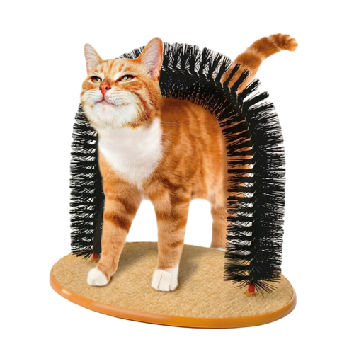 Pets Cat Arch Self Groomer Massager Groom Toy Dog Brushes Puppy Scratcher Toys