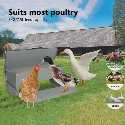 Self Opening Automatic Chicken Feeder Auto Coop Chick Poultry Treadle