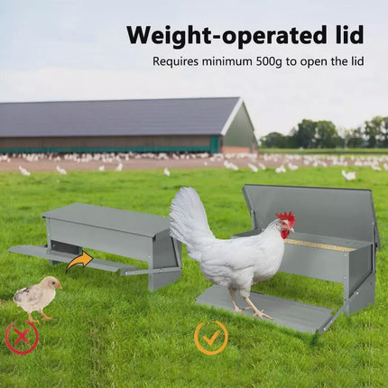 Self Opening Automatic Chicken Feeder Auto Coop Chick Poultry Treadle