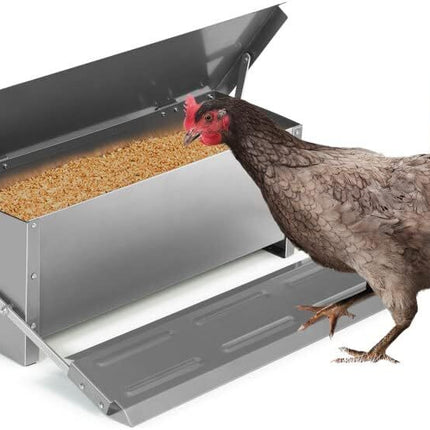 Automatic Chicken Feeder