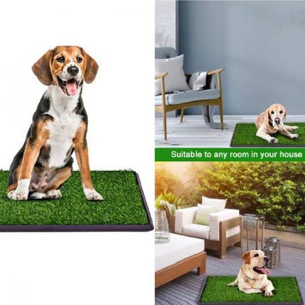 Dog Potty Training Grass Replacement