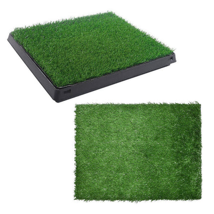 Dog Potty Training Grass Replacement