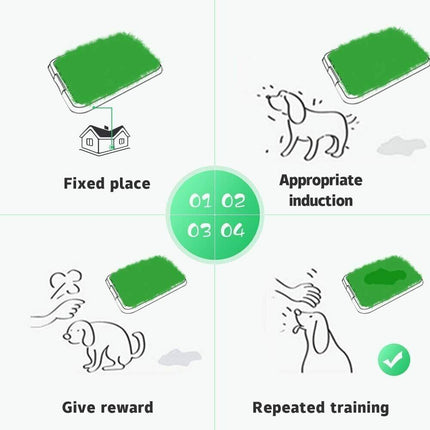 Dog Potty Training Grass Replacement