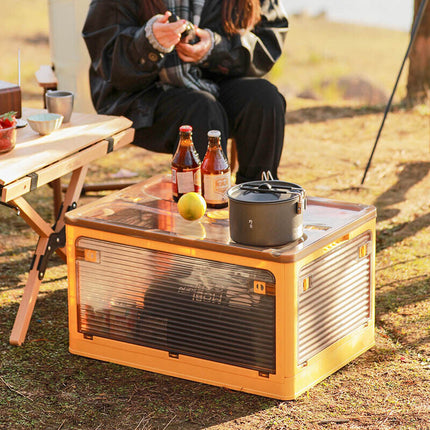 Foldable Storage Container ~ S