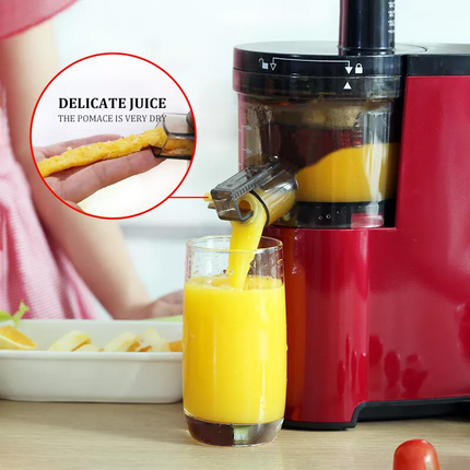 Fruit Vegetable Slow Juicer Orange Lemon Cold Press Juice Extractor Masticating