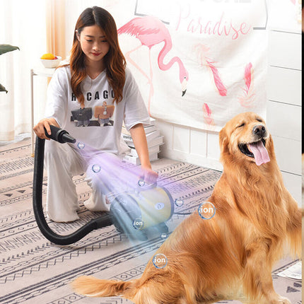 2800W Low Noise Pet Hair Dryer Dog Grooming Blow Speed Hairdryer Blower Heater ~ Pink